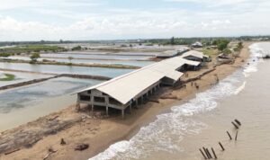 Screenshot_2025-10-28-11-03-11-56_6012fa4d4ddec268fc5c7112cbb265e7