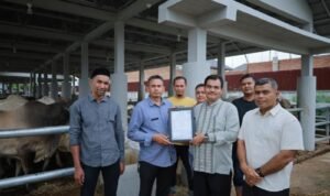 whatsapp_image_2025-10-25_at_82059_am1